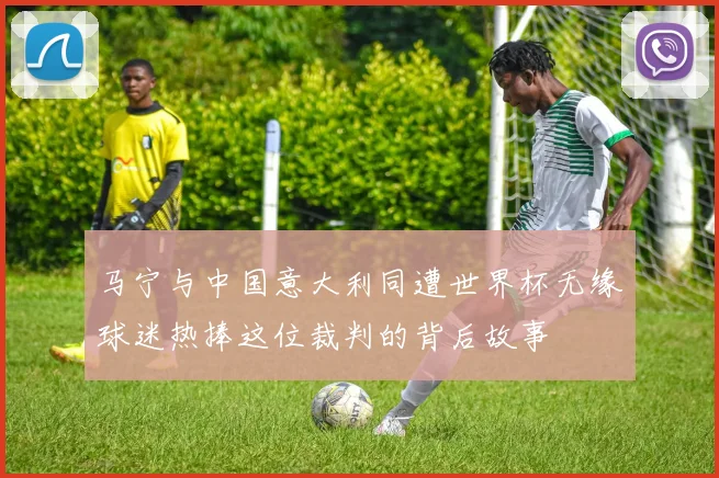 马宁与中国意大利同遭世界杯无缘球迷热捧这位裁判的背后故事